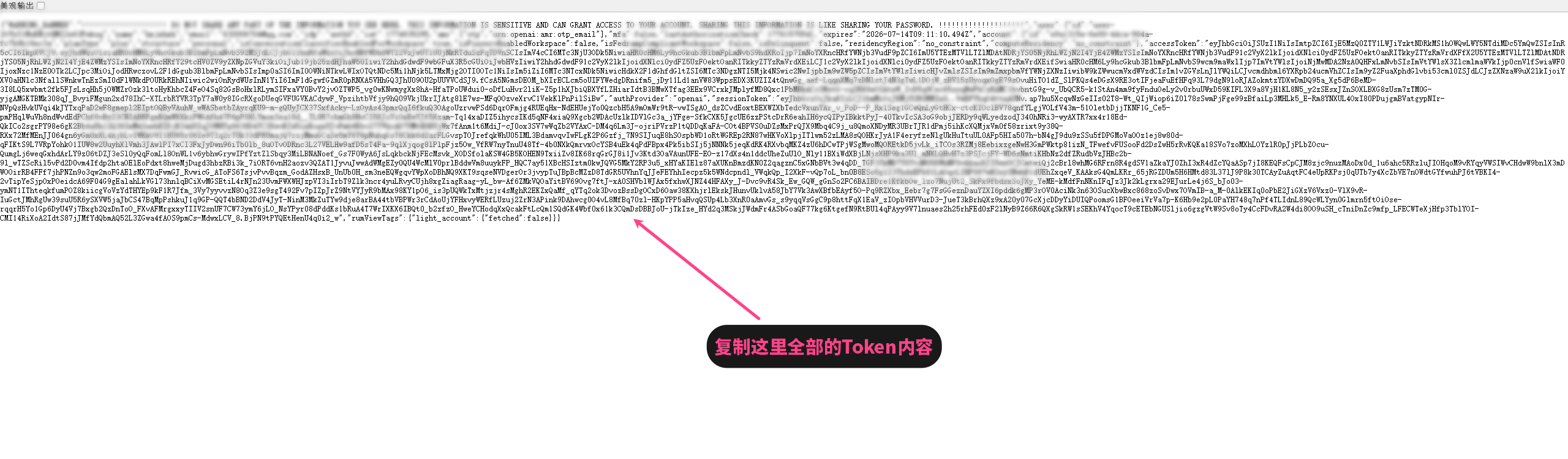 第三步：复制完整 Token
